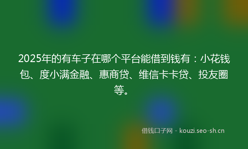 2025年的有车子在哪个平台能借到钱有：小花钱包、度小满金融、惠商贷、维信卡卡贷、投友圈等。