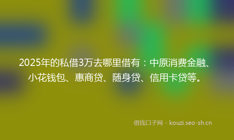 2025年的私借3万去哪里借有：中原消费金融、小花钱包、惠商贷、随身贷、信用卡贷等。
