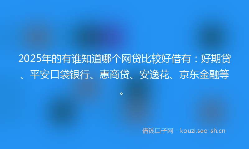 2025年的有谁知道哪个网贷比较好借有：好期贷、平安口袋银行、惠商贷、安逸花、京东金融等。