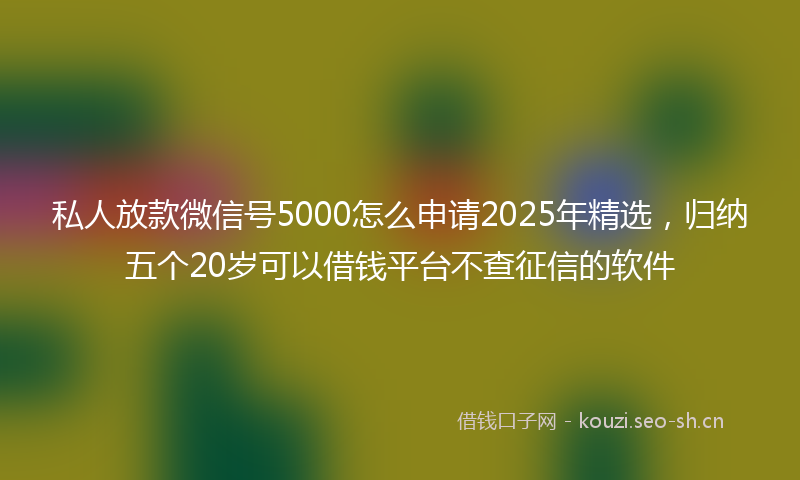私人放款微信号5000怎么申请2025年精选，归纳五个20岁可以借钱平台不查征信的软件