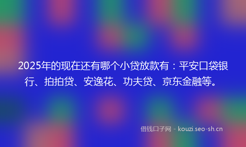 2025年的现在还有哪个小贷放款有：平安口袋银行、拍拍贷、安逸花、功夫贷、京东金融等。