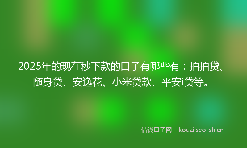 2025年的现在秒下款的口子有哪些有：拍拍贷、随身贷、安逸花、小米贷款、平安i贷等。
