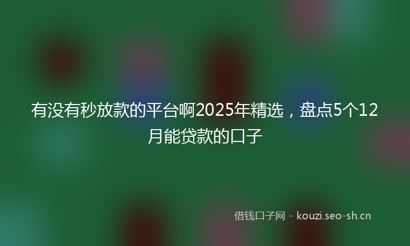 有没有秒放款的平台啊2025年精选，盘点5个12月能贷款的口子