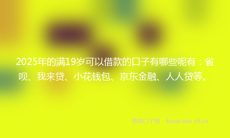 2025年的满19岁可以借款的口子有哪些呢有：省呗、我来贷、小花钱包、京东金融、人人贷等。