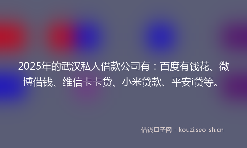 2025年的武汉私人借款公司有：百度有钱花、微博借钱、维信卡卡贷、小米贷款、平安i贷等。