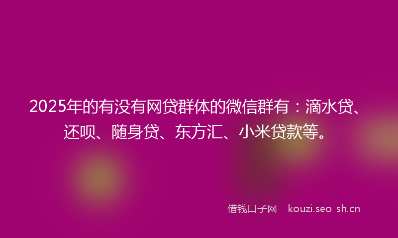 2025年的有没有网贷群体的微信群有：滴水贷、还呗、随身贷、东方汇、小米贷款等。