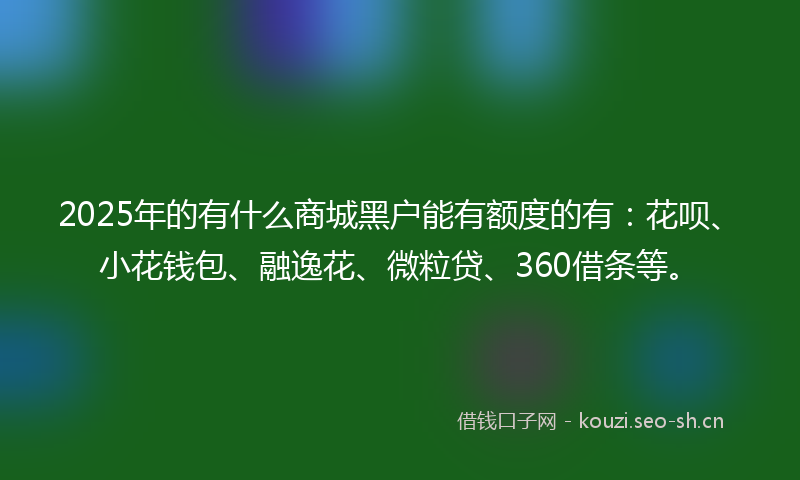 2025年的有什么商城黑户能有额度的有：花呗、小花钱包、融逸花、微粒贷、360借条等。