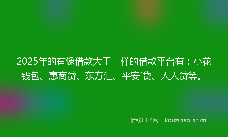 2025年的有像借款大王一样的借款平台有：小花钱包、惠商贷、东方汇、平安i贷、人人贷等。