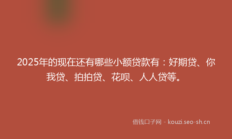 2025年的现在还有哪些小额贷款有：好期贷、你我贷、拍拍贷、花呗、人人贷等。