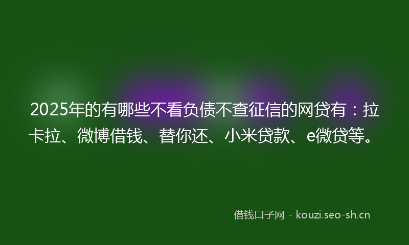 2025年的有哪些不看负债不查征信的网贷有：拉卡拉、微博借钱、替你还、小米贷款、e微贷等。