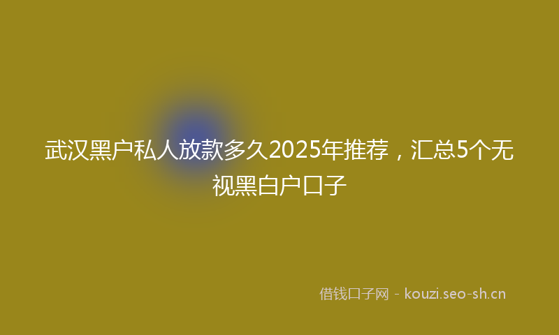 武汉黑户私人放款多久2025年推荐，汇总5个无视黑白户口子