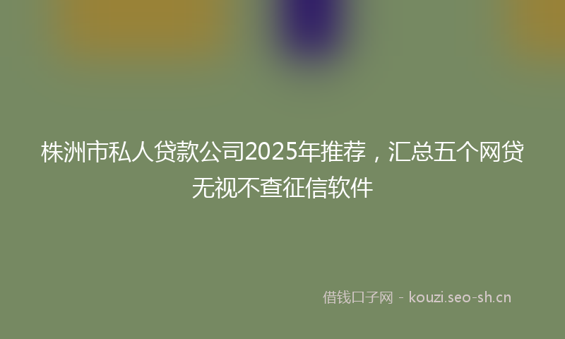 株洲市私人贷款公司2025年推荐，汇总五个网贷无视不查征信软件