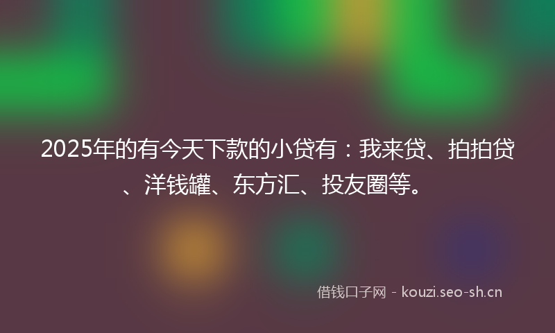 2025年的有今天下款的小贷有：我来贷、拍拍贷、洋钱罐、东方汇、投友圈等。