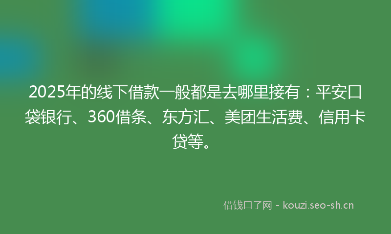 2025年的线下借款一般都是去哪里接有：平安口袋银行、360借条、东方汇、美团生活费、信用卡贷等。