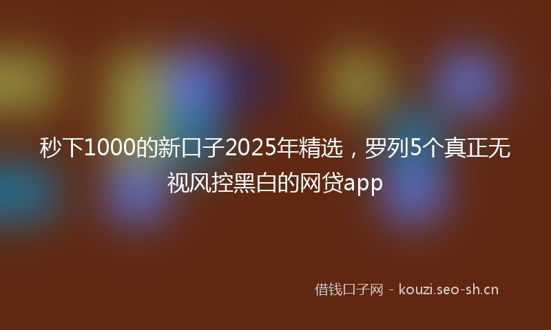 秒下1000的新口子2025年精选，罗列5个真正无视风控黑白的网贷app