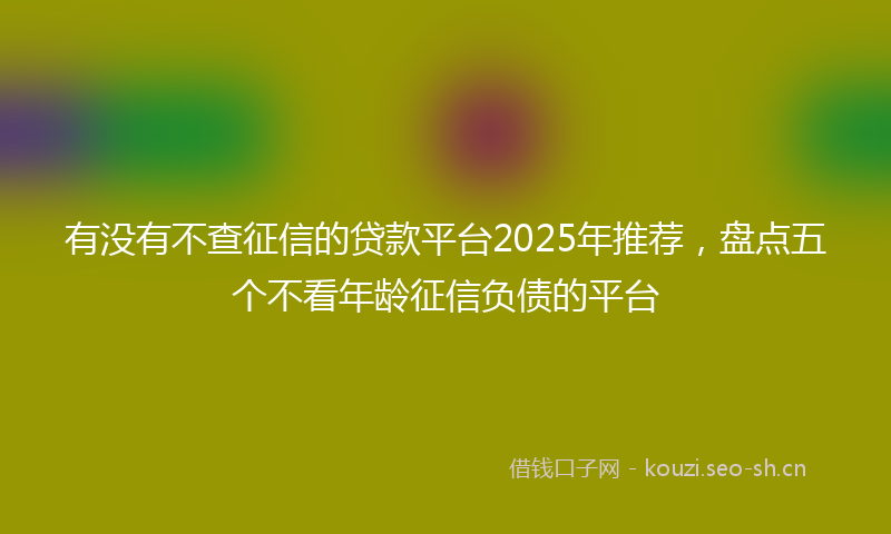 有没有不查征信的贷款平台2025年推荐，盘点五个不看年龄征信负债的平台