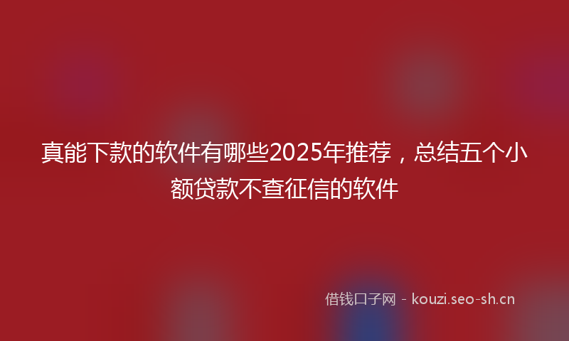 真能下款的软件有哪些2025年推荐，总结五个小额贷款不查征信的软件