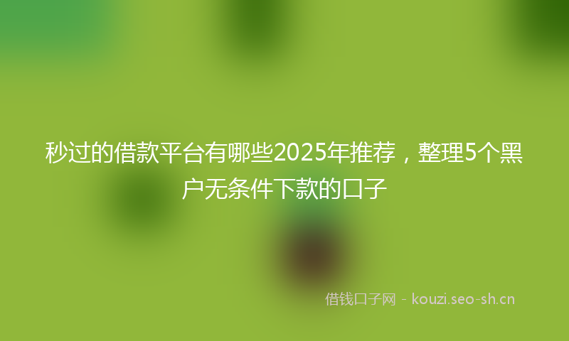秒过的借款平台有哪些2025年推荐，整理5个黑户无条件下款的口子