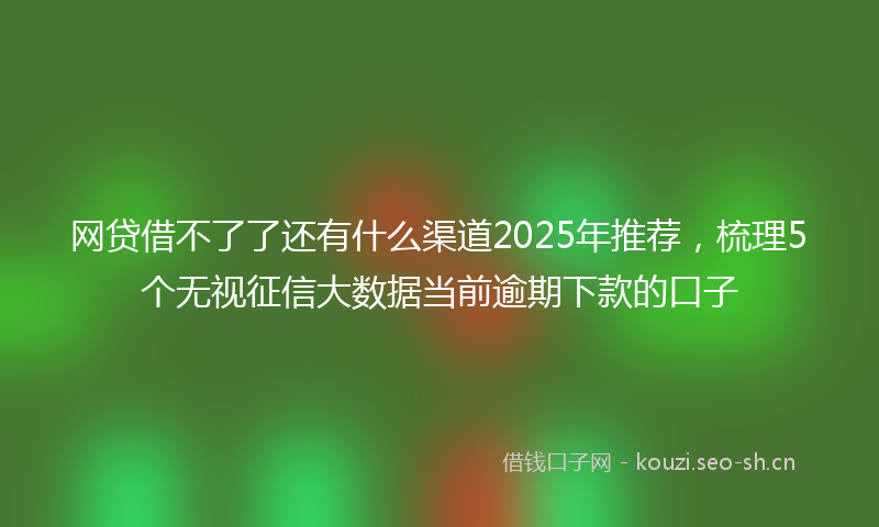 网贷借不了了还有什么渠道2025年推荐，梳理5个无视征信大数据当前逾期下款的口子