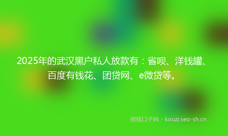 2025年的武汉黑户私人放款有：省呗、洋钱罐、百度有钱花、团贷网、e微贷等。