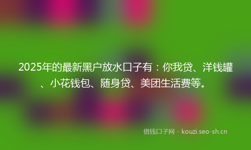 2025年的最新黑户放水口子有：你我贷、洋钱罐、小花钱包、随身贷、美团生活费等。