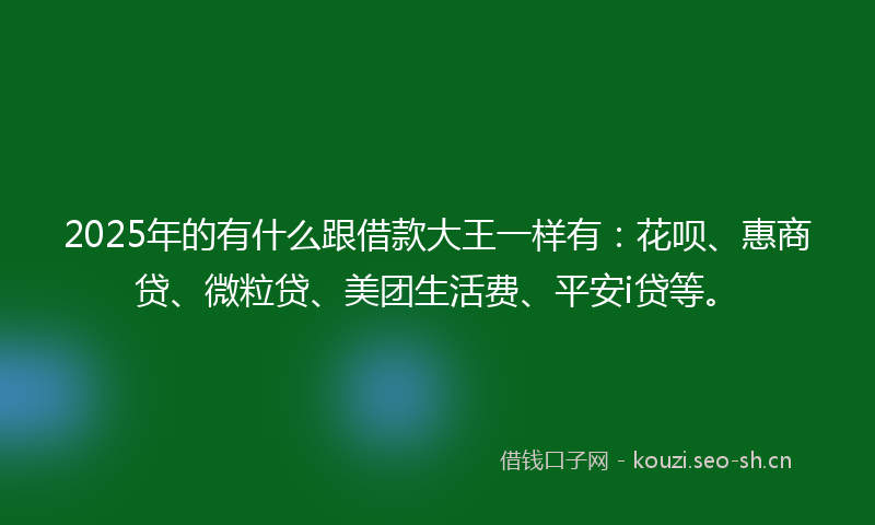 2025年的有什么跟借款大王一样有：花呗、惠商贷、微粒贷、美团生活费、平安i贷等。