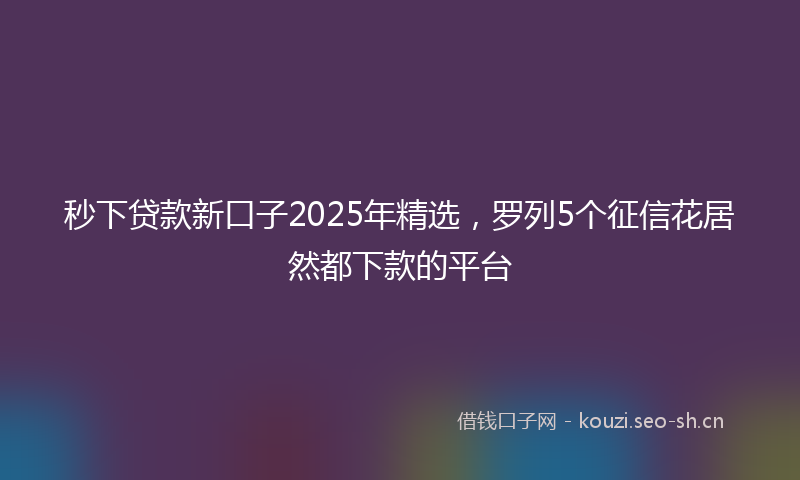 秒下贷款新口子2025年精选，罗列5个征信花居然都下款的平台