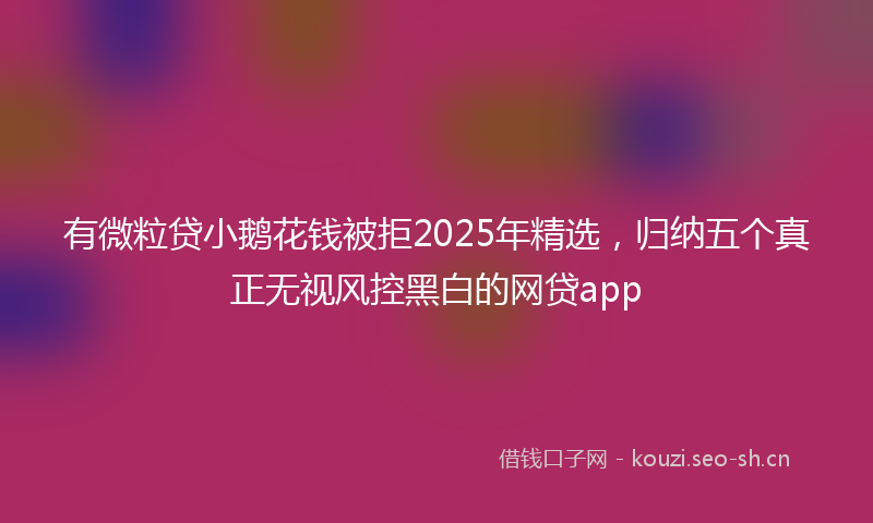 有微粒贷小鹅花钱被拒2025年精选，归纳五个真正无视风控黑白的网贷app