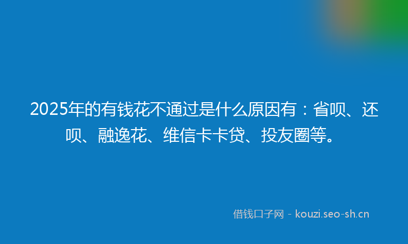 2025年的有钱花不通过是什么原因有：省呗、还呗、融逸花、维信卡卡贷、投友圈等。