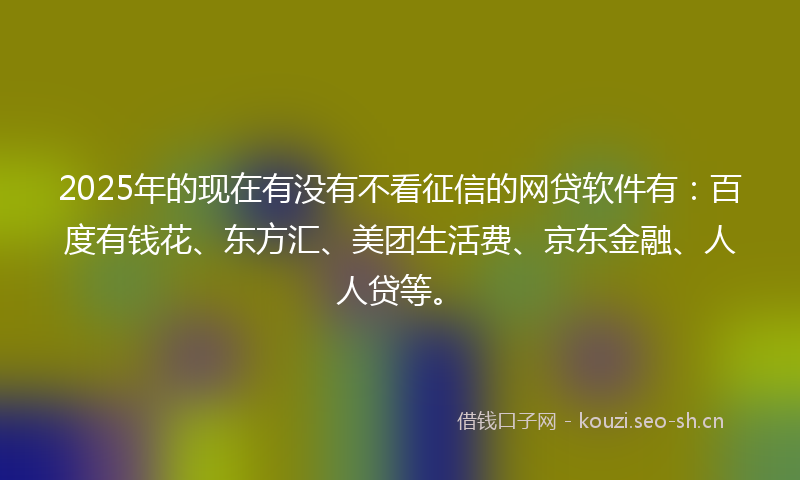 2025年的现在有没有不看征信的网贷软件有：百度有钱花、东方汇、美团生活费、京东金融、人人贷等。