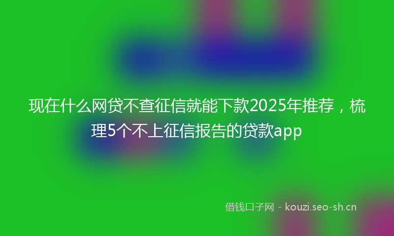 现在什么网贷不查征信就能下款2025年推荐，梳理5个不上征信报告的贷款app