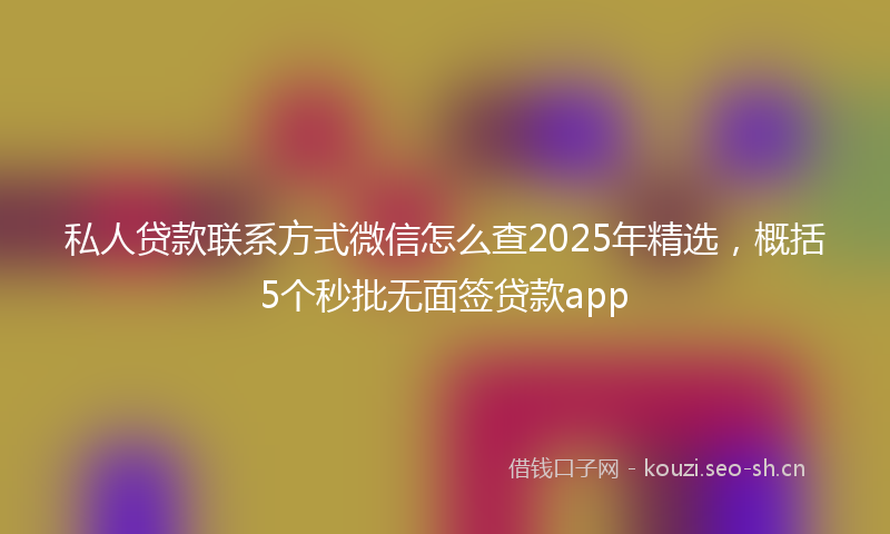 私人贷款联系方式微信怎么查2025年精选，概括5个秒批无面签贷款app