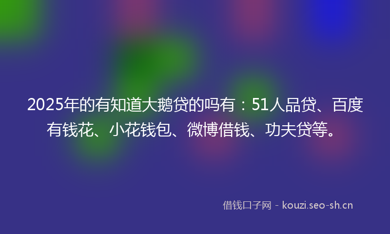 2025年的有知道大鹅贷的吗有：51人品贷、百度有钱花、小花钱包、微博借钱、功夫贷等。