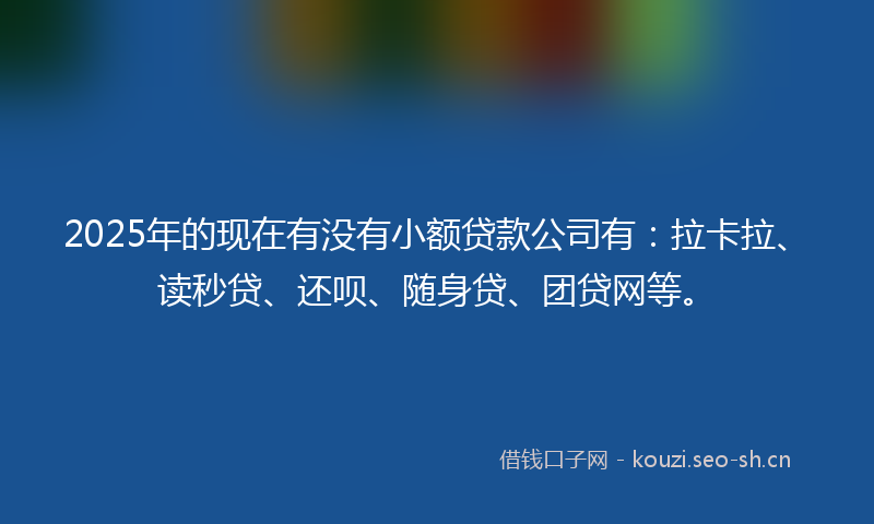 2025年的现在有没有小额贷款公司有：拉卡拉、读秒贷、还呗、随身贷、团贷网等。