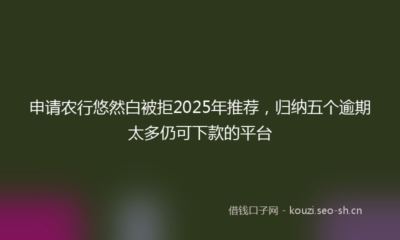 申请农行悠然白被拒2025年推荐，归纳五个逾期太多仍可下款的平台