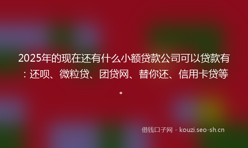 2025年的现在还有什么小额贷款公司可以贷款有：还呗、微粒贷、团贷网、替你还、信用卡贷等。