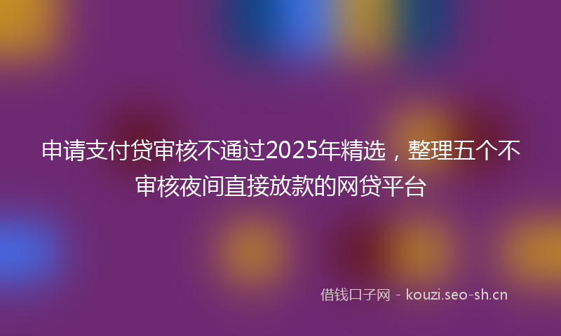 申请支付贷审核不通过2025年精选，整理五个不审核夜间直接放款的网贷平台