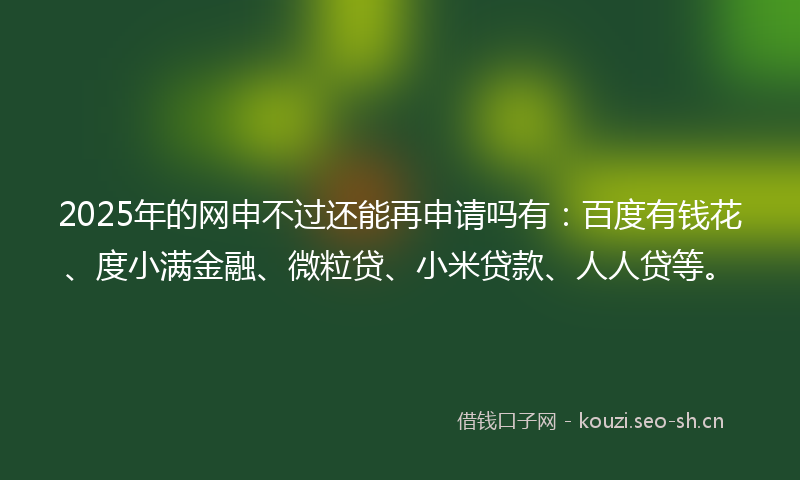 2025年的网申不过还能再申请吗有：百度有钱花、度小满金融、微粒贷、小米贷款、人人贷等。
