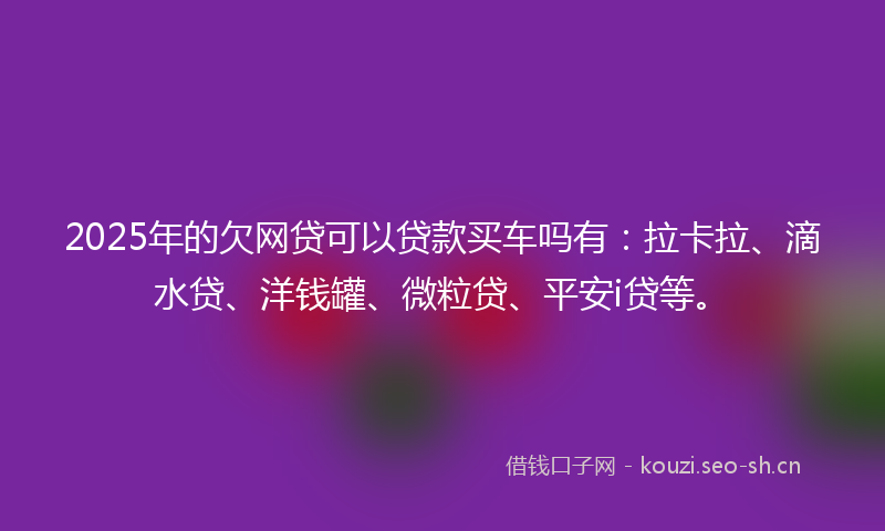 2025年的欠网贷可以贷款买车吗有：拉卡拉、滴水贷、洋钱罐、微粒贷、平安i贷等。