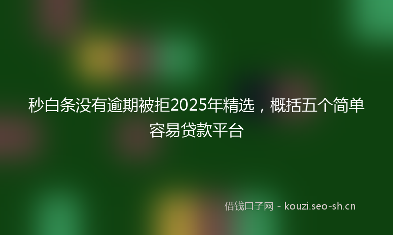 秒白条没有逾期被拒2025年精选，概括五个简单容易贷款平台