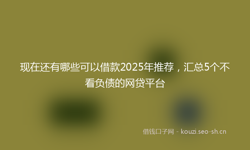 现在还有哪些可以借款2025年推荐，汇总5个不看负债的网贷平台
