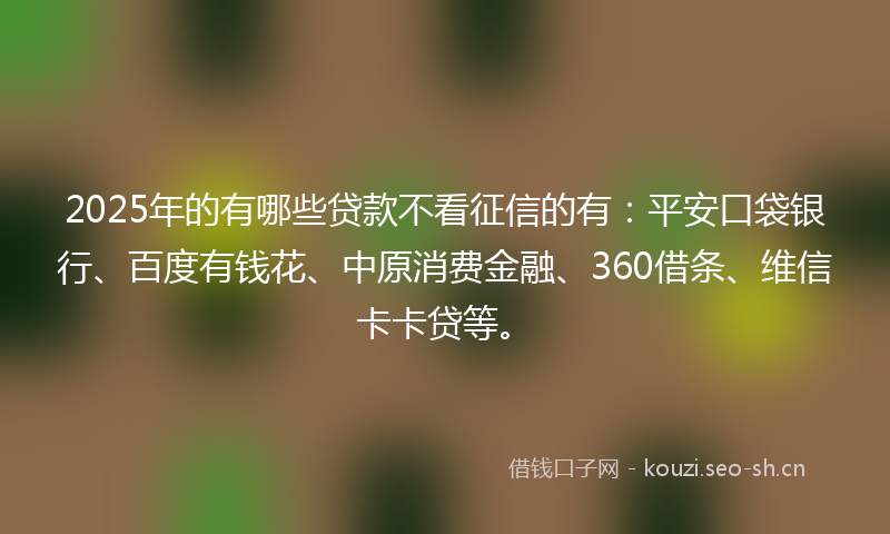 2025年的有哪些贷款不看征信的有：平安口袋银行、百度有钱花、中原消费金融、360借条、维信卡卡贷等。