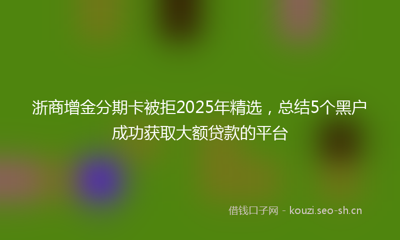 浙商增金分期卡被拒2025年精选，总结5个黑户成功获取大额贷款的平台