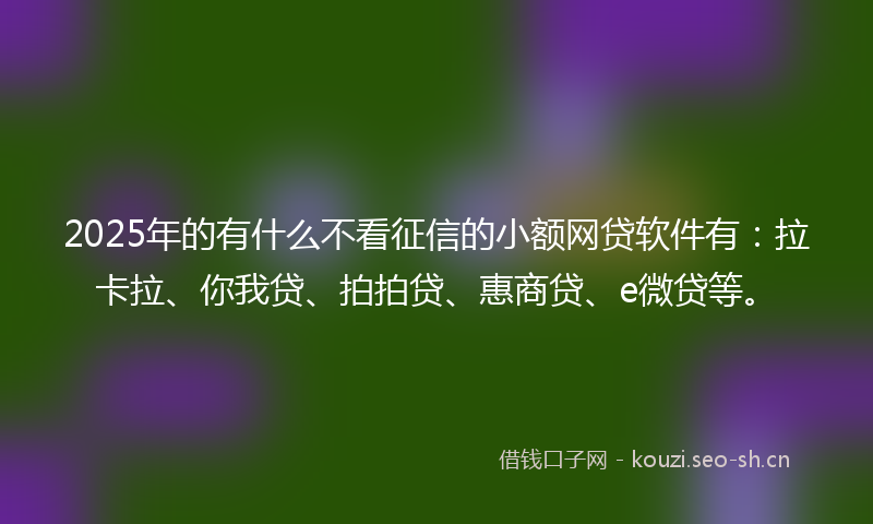 2025年的有什么不看征信的小额网贷软件有：拉卡拉、你我贷、拍拍贷、惠商贷、e微贷等。