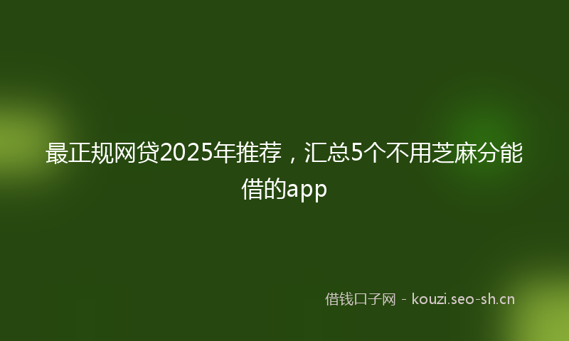 最正规网贷2025年推荐，汇总5个不用芝麻分能借的app
