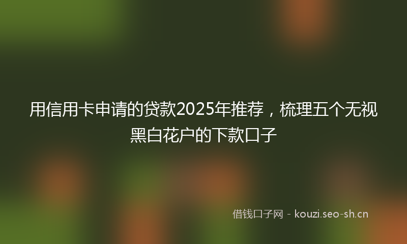 用信用卡申请的贷款2025年推荐，梳理五个无视黑白花户的下款口子