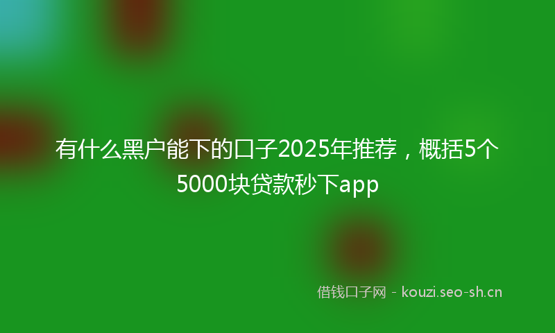 有什么黑户能下的口子2025年推荐，概括5个5000块贷款秒下app