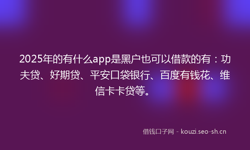 2025年的有什么app是黑户也可以借款的有：功夫贷、好期贷、平安口袋银行、百度有钱花、维信卡卡贷等。