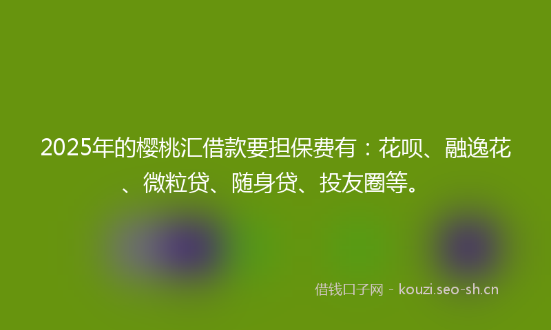 2025年的樱桃汇借款要担保费有：花呗、融逸花、微粒贷、随身贷、投友圈等。
