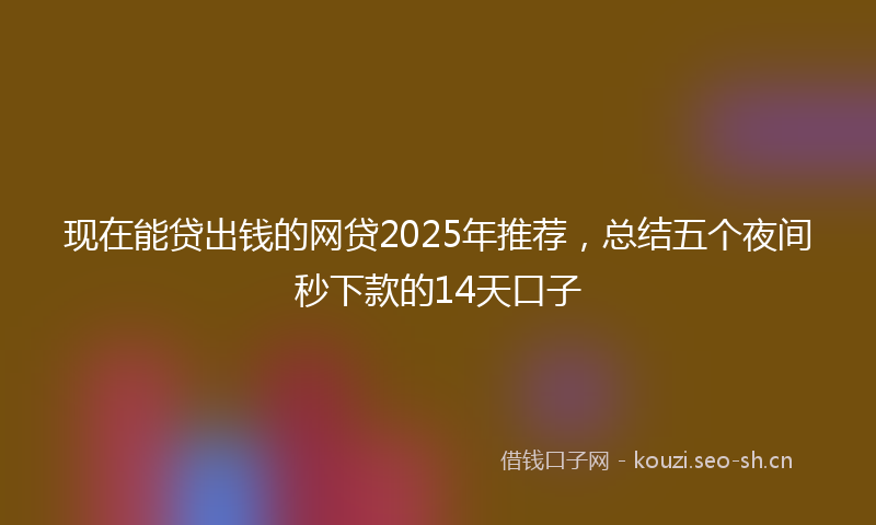 现在能贷出钱的网贷2025年推荐，总结五个夜间秒下款的14天口子